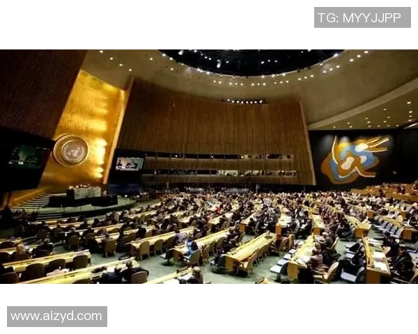 西安排球队战术引发热议球迷专家各抒己见探讨争议背后真相